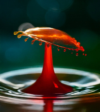 독창적인 모험 세계